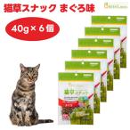 GreenLaboグリーンラボ猫草...