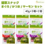 GreenLaboグリーンラボ猫草...