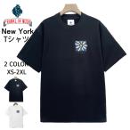 50%OFF Tシャツ 半袖 EU製 FRANKLIN MUSK ア