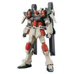 HG 1/144 ライトニングバスターガンダム (253) ガンダムプラモデル (ガンプラ) (カード払のみ)