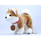 公益社団法人秋田犬保存会　秋田犬マサルぬ