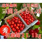 Kyushu специальный бесплатная доставка вишня Sato . превосходящий 2L превосходящий 2L1kg Yuzawa город три . старый река сельское хозяйство .