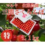  Kyushu район специальный бесплатная доставка вишня Sato . Special L и больше 1kg Yuzawa город три . maru ya Sato сельское хозяйство .