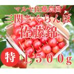  вишня Sato . Special L и больше 500g Yuzawa город три . maru ya Sato сельское хозяйство .
