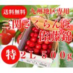  Kyushu район специальный бесплатная доставка вишня Sato . Special 2L и больше 500g Yuzawa город три . maru ya Sato сельское хозяйство .