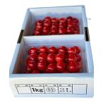  Kyushu район специальный бесплатная доставка вишня Sato . Special 3L и больше 1kg Yuzawa город три . maru ya Sato сельское хозяйство . бесплатная доставка 