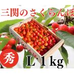  Kyushu район специальный бесплатная доставка вишня Sato . превосходящий L и больше 1kg Yuzawa город три . maru ya Sato сельское хозяйство .