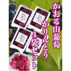  Karinto . двор udon работник . произведение .... гора ..4 пакет комплект 