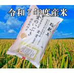 水田環境鑑定士の水田環境特A 認定減農薬 無・減化学肥料栽培米　送料無料 令和７年度米 渡部浩見 漢方農法 特別栽培米 高機能玄米 金のいぶき ５ｋｇ