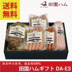 お中元 ギフト 田園ハムギフト詰め合わせ DA-E3 ウィンナー ボロニア ソーセージ 煮豚 チョリソー 秋田