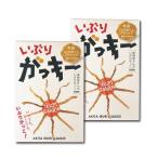 いぶりがっこスティック　いぶりがっキー２箱　送料無料 ネコポス ポイント消化 華丸大吉のなんしようと？で紹介