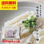 稲庭うどん 寛文五年堂 切れはし麺 切り落とし 400g 約4人前 ポイント消化 お試し 食品 送料無料