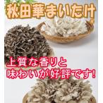 秋田華まいたけ　秋田県産　生まいたけ　1カブ