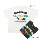 完全閉店セール 恐竜 半袖Tシャツ スラブ天竺ダイナソーロゴ キッズ 子供服 男女 オフィシャルチーム 90cm 100cm 110cm 120cm 50%OFF メール便OK NS73