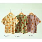 完全閉店セール 半袖Tシャツ くま 総柄 キッズ ジュニア 子供服 男女 ニコフラート 90cm 100cm 110cm 120cm 130cm 140cm 60%OFF メール便OK BS8