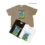 完全閉店セール 半袖Tシャツ ISSEI ART スリット キッズ 子供服 男の子 女の子 ジェネレーター GENERATOR 110cm 120cm メール便OK GS28