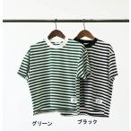完全閉店セール 半袖Tシャツ ボーダー キッズ ジュニア 子供服 男女 ジェネレーター GENERATOR Mサイズ Lサイズ XLサイズ 60%OFF メール便OK GS3