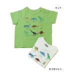 ショッピング恐竜 半袖Tシャツ 恐竜 イラスト プリント キッズ 子供服 男の子 女の子 DILASH ディラッシュ 90cm 130cm 140cm 60%OFF メール便OK DS30