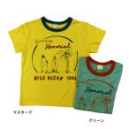 完全閉店セール 半袖Tシャツ 配色 キッズ ジュニア 子供服 男女 DILASH ディラッシュ 80cm 90cm 100cm 110cm 120cm 130cm 140cm 50%OFF メール便OK DS47