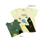 完全閉店セール 半袖Tシャツ 海のなかま キッズ ジュニア 子供服 男女 DILASH 80cm 90cm 100cm 110cm 120cm 130cm 140cm 50%OFF メール便OK DS46
