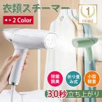 スチームアイロン 衣類スチーマー ハンディ アイロン シワ伸ばし 蒸気 脱臭 コンパクト 軽量 小型 旅行 出張 スーツ ワイシャツ おしゃれ PSE認証済 2024改良型