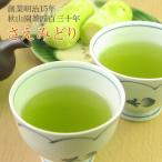 Yahoo! Yahoo!ショッピング(ヤフー ショッピング)さえみどり 80g　緑茶 煎茶 メール便 送料無料（鹿児島茶 煎茶）（am-10）