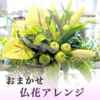 お供え花 仏花 花キューピット 非加盟店 花束 お花 フラワーアレンジ お悔やみ 新盆 生花【ドイツマイスターにお任せ】