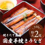 父の日 うなぎ 蒲焼き 国産 約170g×2尾 肉厚 ふっくら 手焼き 直送 ギフト ウナギ 鰻