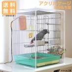 アクリルバードケージ ワイドタイプW500×H590×D485 オウム・インコ・鳥・小動物用 アクリルケージ アクリルケース 国産 防音 防塵 粉対策 冷房除け 幼鳥 保温