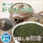 急須 お茶 セット 静岡茶 選べる 人気のお茶付き レビューでオリジナルキャップ 初倉＋選べるハケ目シリーズ