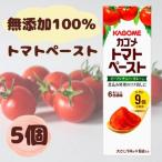 カゴメ トマトペースト 5個 ミニパック KAGOME 調味料 離乳食 ベビーフード (5個)