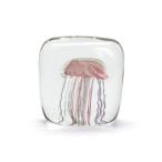 HERE ヒア / 「Jellyfish Twisted Leg 