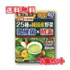 金の青汁25種の純国産野菜 乳酸菌×酵素 3.5g×60包 5個セット 日本薬健