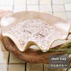  ракушка tray ракушка tray ключ класть мелкие вещи класть ракушка tray tray раковина resort способ интерьер аксессуары tray аксессуары tray Asian шероховатость смешанные товары 