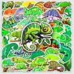 カメレオン　トカゲ　爬虫類　ペットショッ