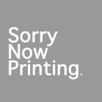 SDガンダムワールド ヒーローズ SDW HEROES 31 オルタナティブジャスティス インフィニットドラゴン [プラモデル]