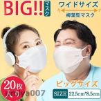 大きいマスク 立体 大