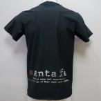 サンタフェ・25 春夏 SS 新作・シルバー艶あり ポリエステル 半袖 Tシャツ(L)(LL)(3L)(4L)25-83833-019