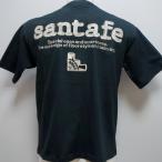 ショッピングサンタ サンタフェ・26 春夏 SS 新作・アニマルアップリケ オーバーサイズ 半袖Tシャツ(L)(LL)(3L)26-85402-018