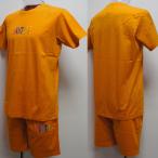 サンタフェ・22 春夏 SS 新作・半袖Tシャツ 短パン 上下(54)(4L)22-83859-042-54　22-83861-042-54　キングサイズ