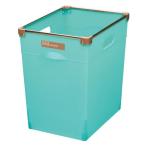 FLEXX フレックス プレミアムボックス １９５Ｌ ナチュラルブルー 伸和