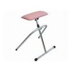  поручень туалет осанка пассажирский приятный . san SRB-Pi der жизнь уход 