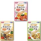 介護食 なめらか定食 3種類×各6個 