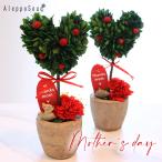 母の日 ハートトピアリー カーネーション mother'sday プリザーブドフラワー グリーン 葉っぱ 動物 りす はりねずみ うさぎ ハート