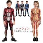 ハロウィン 男の子 コスチューム 人体模型 人体模型 医学模型 コスプレ 子供用 ボディスーツ 女の子 長袖 筋肉模型 キッズ 変装 仮装 筋肉 顔出