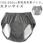 中失禁パンツ 介護パンツ 100-300cc イ