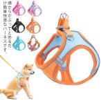  кошка кошка для Harness собака маленький размер собака шлейка Lead есть прогулка выход простой оборудован текстильная застёжка .. кошка домашнее животное кошка . собака . вечер отражающий сетка модный 