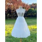 パニエ ロングパニエ ボリューム 2層オーガンジー ロング丈 70cm丈 スカート ペチコート 透け防止 インナー レディース コーデ自由