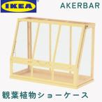 ショッピングikea 観葉植物 ケース  IKEA 〓KERB〓R  オーケルベール ショーケース おしゃれ インテリア 鑑賞用 温室 室内 屋外用 軽量