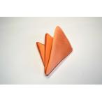  одноцветный ( длина линия )/.. orange solid ( одноцветный ) pocket square ( chief 23cm)/40%OFF/PC-SO016
